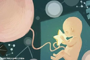 私人志愿者供卵助孕包生儿子